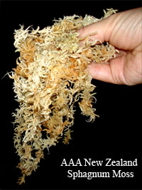 AAA New Zealand Sphagnum Moss